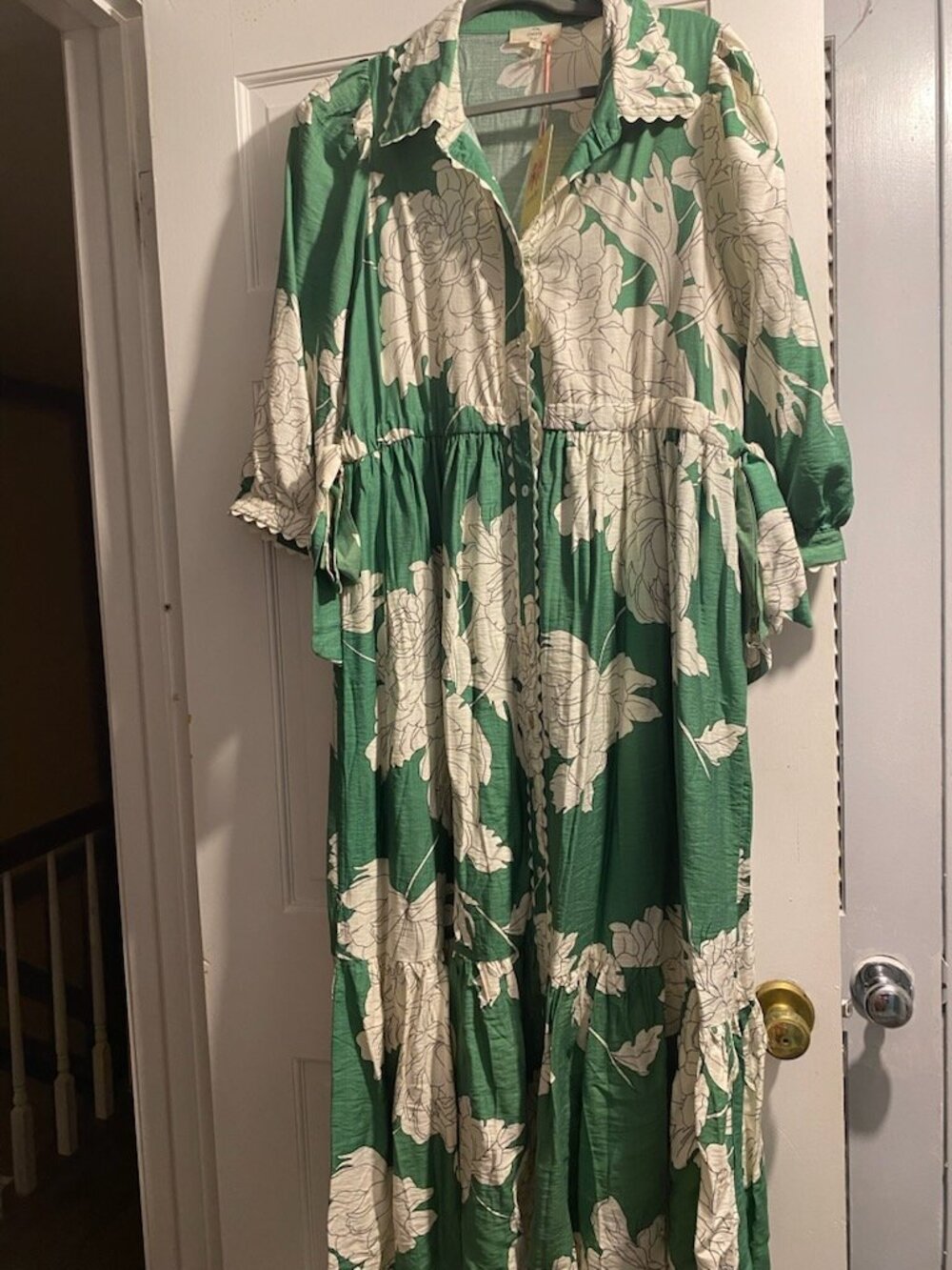 Entro green button up maxi dress, size large, nwt